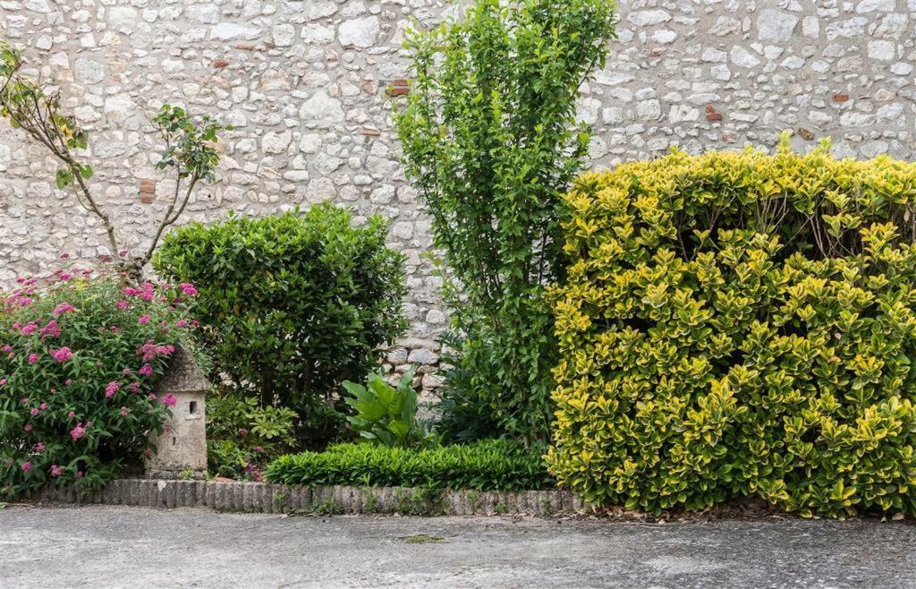 Hotel Du Cygne De La Croix Blanche Lailly-en-Val 외부 사진